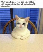 Image result for Food Costum Crying Cat Meme