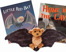 Image result for Fluffy Bat Toy