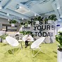Image result for Biophilic Private Office