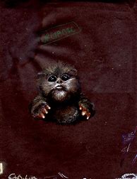 Image result for Baby Ewok