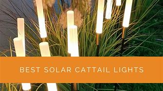 Image result for Magnavox Solar Lights