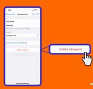 Image result for Reset iPhone Email Password