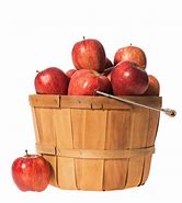 Image result for Apple Bushel