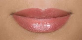 Image result for Permanent Makeup Lip Colors