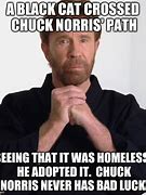 Image result for Chuck Norris Cat Meme