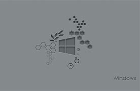Image result for 1440P Windows Wallpaper
