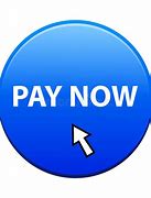 Image result for Pay Now Button