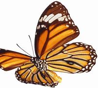 Image result for Butterfly Emoji Emojipedia