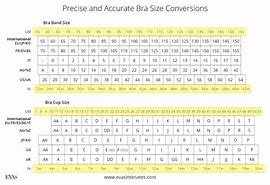 Image result for Bra Size Charts