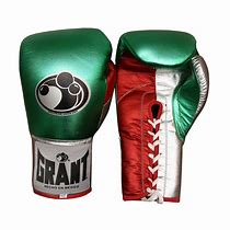 Image result for Red Reyes Boxing Gloves