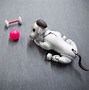 Image result for Sony Aibo Carrier