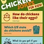 Image result for Rooster Jokes