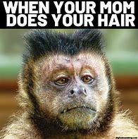 Image result for Monkey Meme Pic