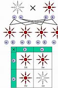 Image result for What Is a Monohybrid Cross