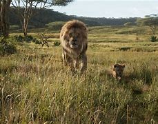 Image result for Lion King Savannah