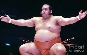 Image result for Hawaiian Sumo Wrestler Jesse