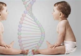 Image result for Cloned Human Skin