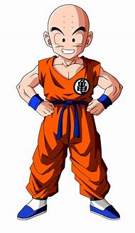 Image result for Crillion Dragon Ball Z with Hair