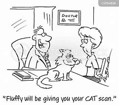 Image result for Cat Scan Funny Cartoons