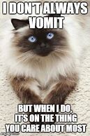 Image result for Cat Vomiting Meme
