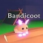 Image result for The Coolest Roblox Pets
