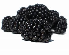 Image result for White BlackBerry Fruit Background