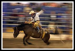 Image result for Rodeo