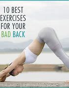 Image result for Exercises for a Bad Back Lower