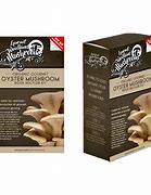 Image result for Special Mushroom Packaging