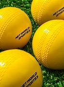 Image result for BackYard Cricket Ball NZ