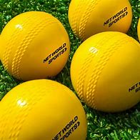 Image result for Cricket Ball for Kids