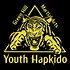 Image result for Hapkido Graphic