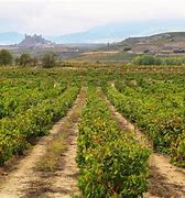 Image result for Sierra Cantabria Rioja Diablillo San Vicente Sonsierra
