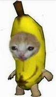 Image result for Banana Cat Coma Meme