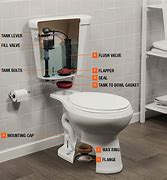 Image result for Inside Toilet Bowl Parts