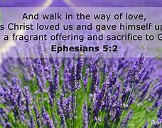 Image result for Ephesians 5:2
