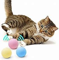 Image result for Cat Ball Toy