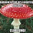 Результаты поиска изображений по запросу "Fungi Meme"