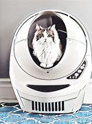 Image result for Robot Cats for Elderly