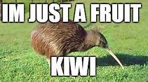 Image result for Kiwi MEME LOL