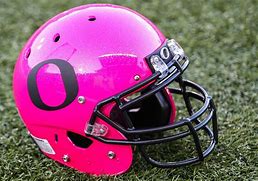Image result for Texans Football Helmet