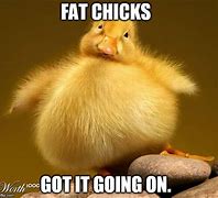 Image result for Fat Cat Food Meme