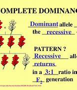 Image result for DNA and Genes Chapter 11