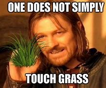 Image result for Touch Some Grass Meme