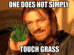 Image result for Go Touch Grass Meme