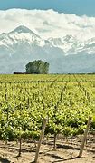 Image result for Mendoza-Argentina Winery