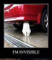 Image result for I'm Invisible Memes