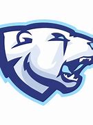 Image result for Chicago Bears Mascot Logo