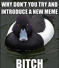 Image result for Advice Duck Meme