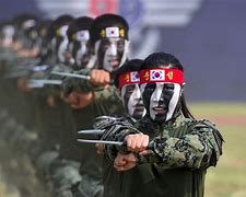 Image result for South Korea Armed Forces